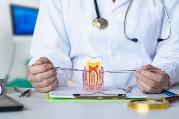 Best Emergency Root Canal Treatment in Jones Creek, TX